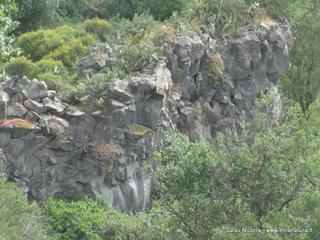 ndolito-24-05-2014 20-44-51